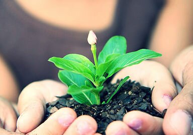 e6adaf_3a9f08bf289a4ade94ed9ce28f43924c